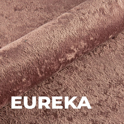 Eureka_ICO